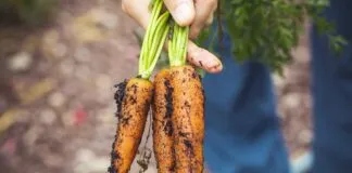 Unique Diwan Bed Designs That Will Elevate Your Bedroom’s Style Unique Diwan Bed Designs That Will Elevate Your Bedroom’s Style